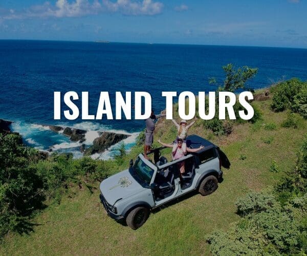 ISLAND TOURS
