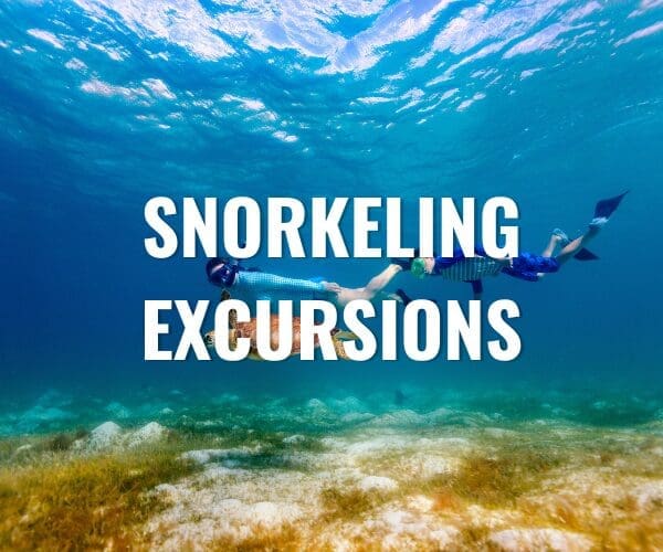 SNORKELING EXCURSIONS